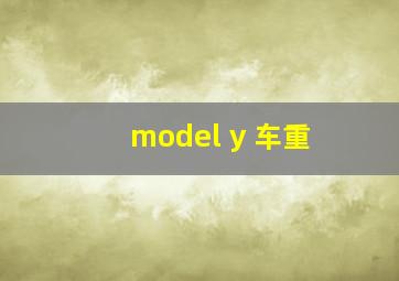 model y 车重